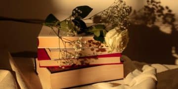 Top 5 Reading Lists Curated by Award-Winning Novelists in the US - Cover Image