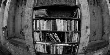 Unveiling the Reading List Used by 90% of Successful Novelists - Cover Image