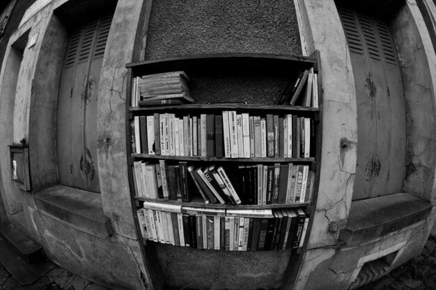 Unveiling the Reading List Used by 90% of Successful Novelists