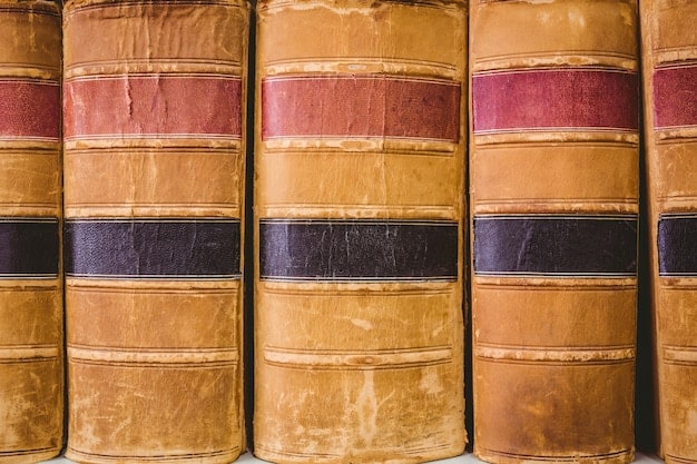 A close-up photograph focusing on the worn spines of classic novels on a bookshelf. The titles of prominent authors like Austen, Dickens, and Tolstoy are visible, emphasizing the timelessness and enduring relevance of these literary works. Soft, natural lighting enhances the texture of the books, adding to the classic and scholarly feel.
