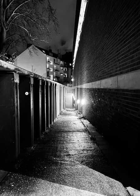 A black and white photograph of a narrow, dimly lit alleyway in a city. The alley is lined with old brick buildings, and a single streetlight casts long, eerie shadows. A figure in a dark coat and hat can be seen disappearing around a corner.