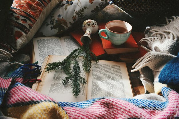 A stack of cozy mystery novels arranged on a bookshelf. The covers feature quaint village scenes, cats, and tea cups, visually representing the comforting themes within the genre.