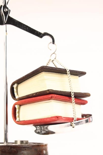 Copyright Law 2025: Impact on US Literary Criticism