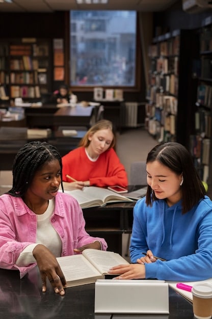 Feminist Literary Criticism in the US: 1970-2025 Analysis