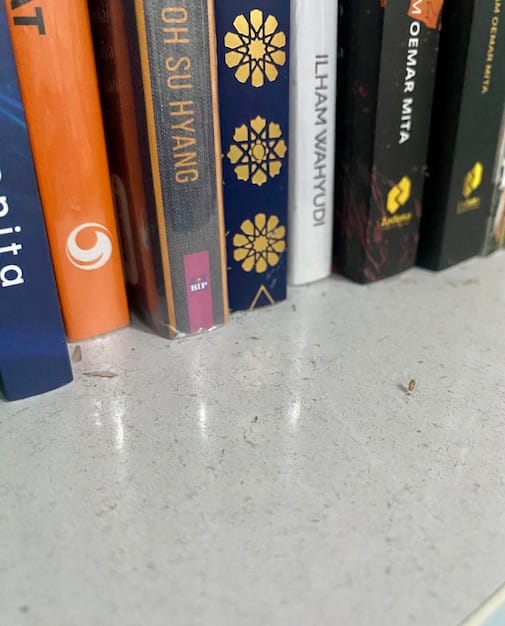 A close-up shot of a bookshelf in a university library, featuring prominently displayed books by diverse authors such as Toni Morrison, Sandra Cisneros, and Leslie Marmon Silko.