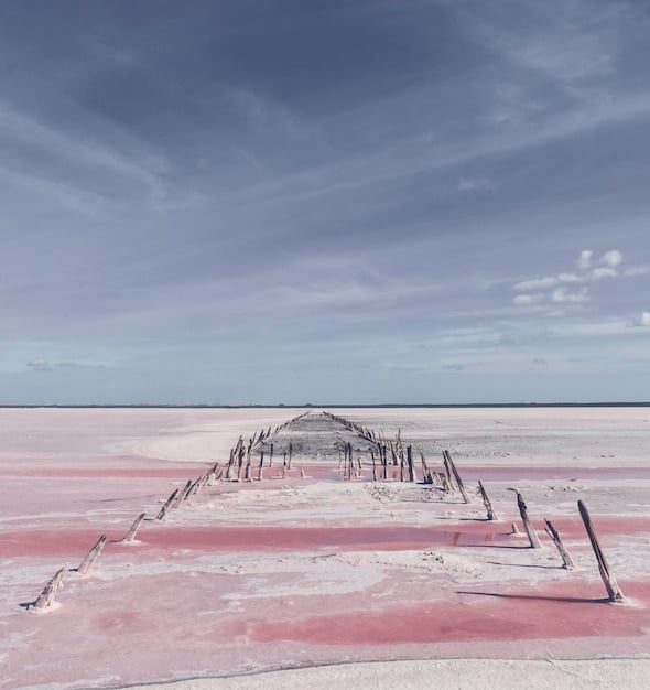 A desolate, sprawling landscape of salt flats under a vast, cloud-streaked sky, evoking a sense of loneliness and hidden secrets. The colors are muted, reflecting the somber tone.