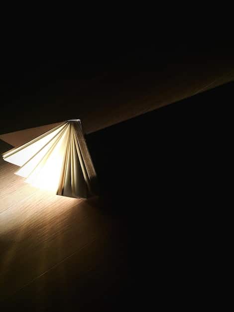 Are Paid Book Reviews Worth It? ROI for Authors Explored